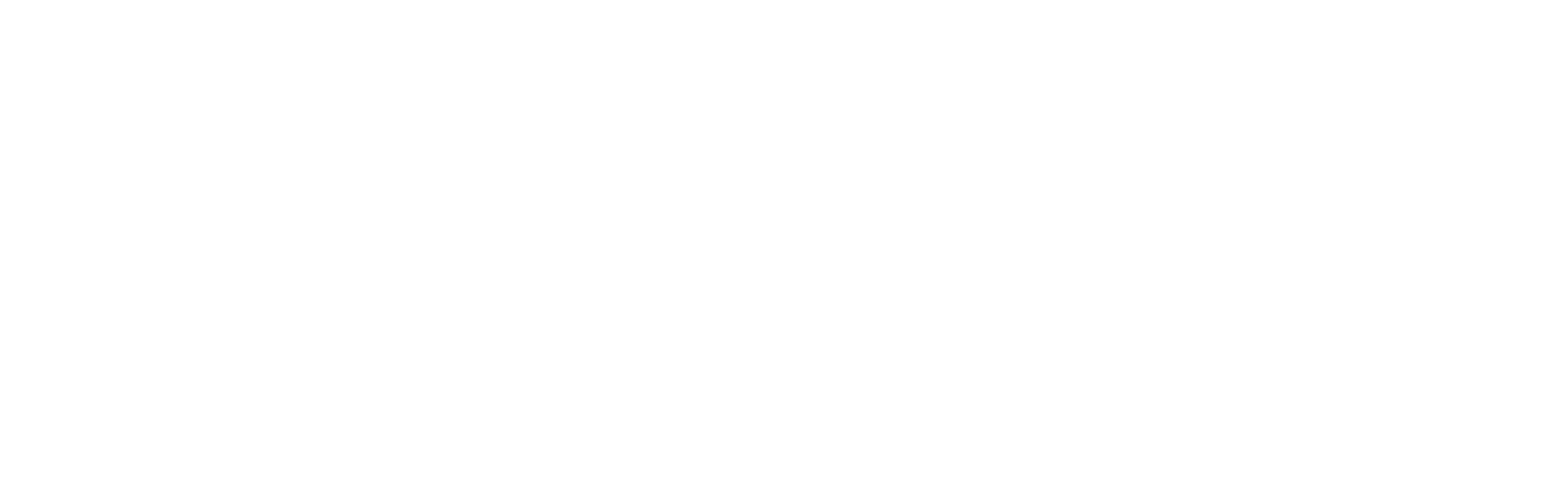 Perplexity